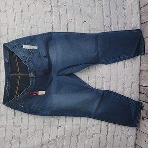 Women's Plus Size Talbots Jeans